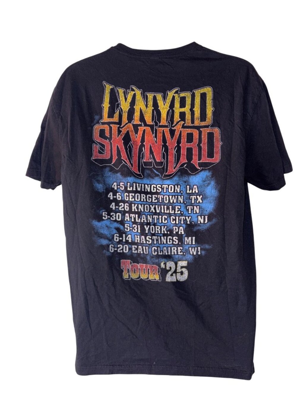 Lynyrd Skynyrd 2025 World Tour Black Graphic Tee L Gildan Softstyle - Picture 2 of 5